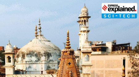 There are other methods to calculate the age of inanimate things (such as rocks), but carbon dating can also be used in an indirect way in certain circumstances. (File photo)