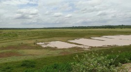 Hesaraghatta grasslands