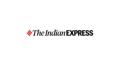 Ahmedabad, Ahmedabad news, Gujarat, Gujarat news, Indian Express, India news, current affairs, Indian Express News Service, Express News Service, Express News, Indian Express India News
