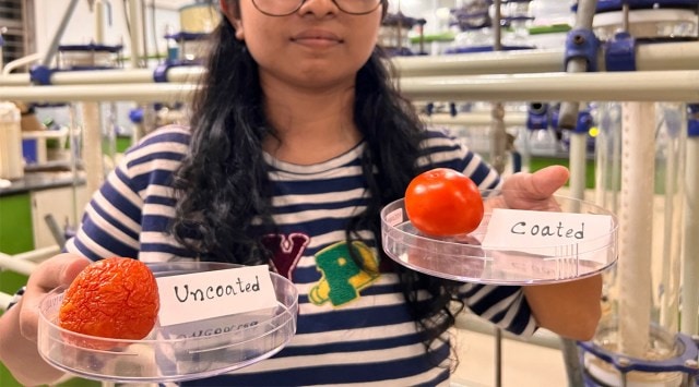 A researcher holding up an uncoated and coated tomato to illustrate how the coating helps preserve produce for longer.
