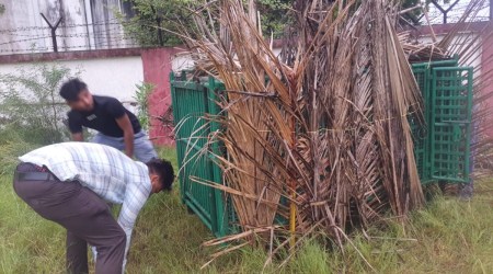 The leopard was first sighted near the water treatment plant (WTP) in Ghoghla village of Diu on September 7. (Express Photo)
