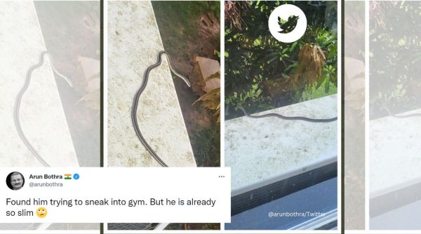IPS officer, Arun Bothra, snake, reptile, gym, snake in gym, rainy season, Twitter, scary, viral, trending