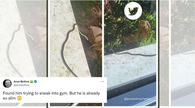 IPS officer, Arun Bothra, snake, reptile, gym, snake in gym, rainy season, Twitter, scary, viral, trending