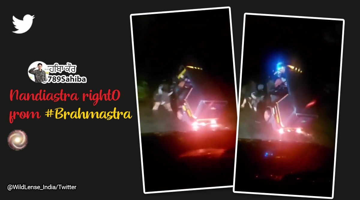 Indian Bison attacks auto, viral video Indian Bison attacks auto, Gaur flips auto in air, Man animal conflict Indian bison, Indian express