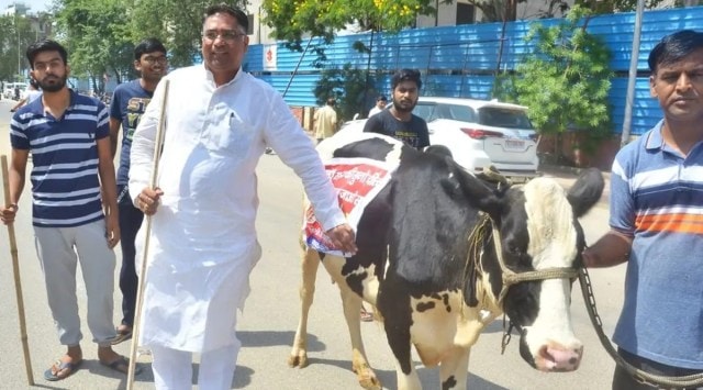 BJP MLA Suresh Singh Rawat arrives with a cow outside the Assembly.