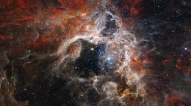 Cosmic Tarantula, Caught by NASA’s Webb Space Telescope: Webb reveals distant background galaxies, as well as the detailed structure and composition of the nebula’s gas and dust.