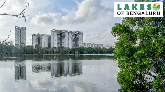 Kaikondrahalli Lake in Bengaluru. (Express photo by Jithendra M.)