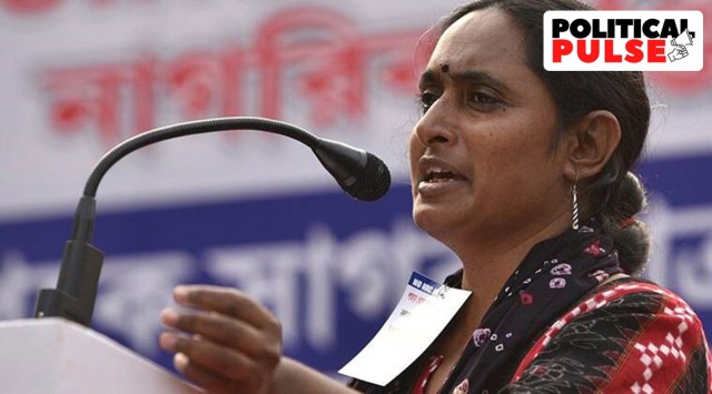 Kavita Krishnan quit all her responsibilities within the CPI-ML. (File)