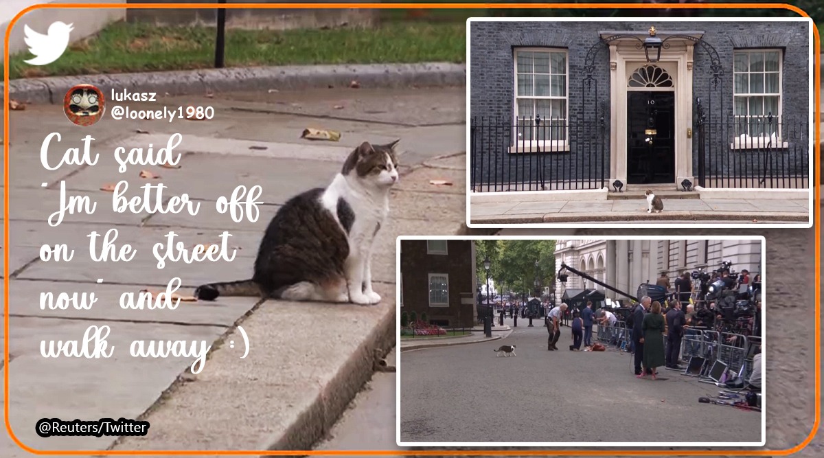 A police officer pets Larry the cat in Downing Street, London