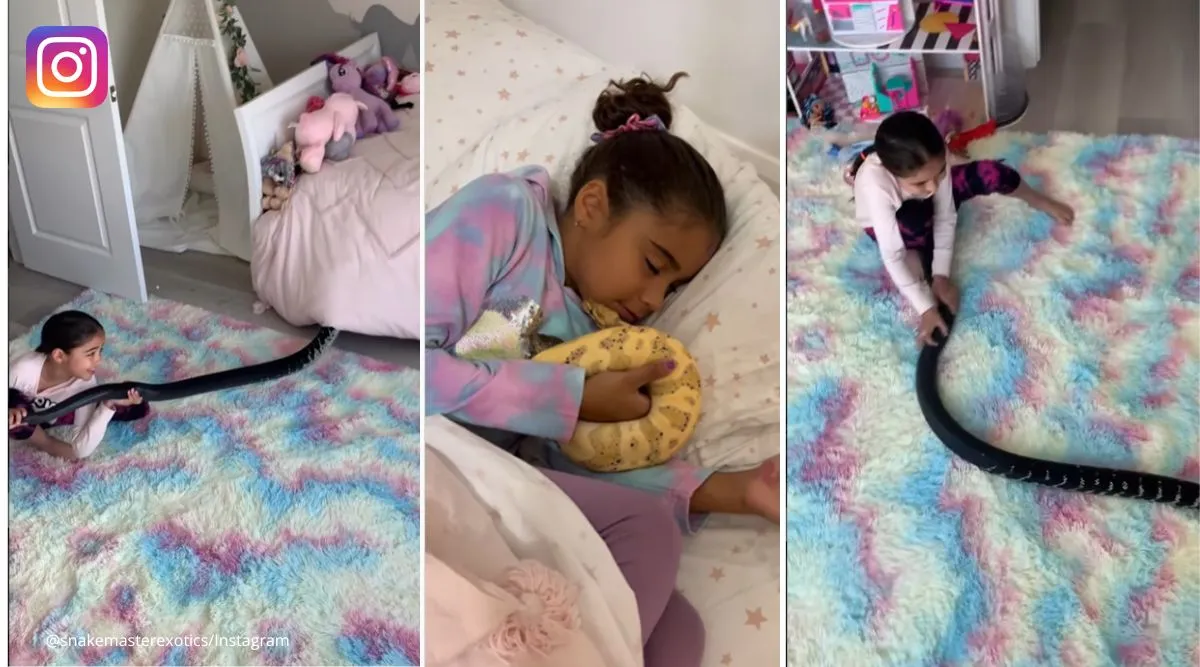 Little girl shows love for snakes on Instagram and it’s astonishing to watc...