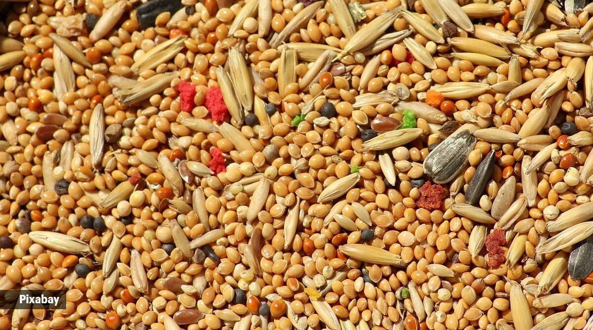 millets