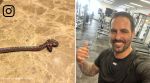 Mitchell Johnson, snake, Lucknow hotel, Australia, cricket, former cricketer, Legends League Cricket, India, reptile, Brett Lee, viral, trending