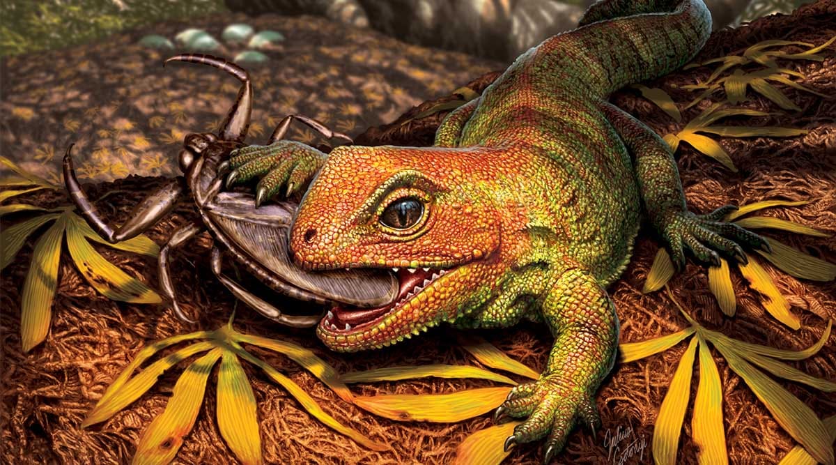 Palaeontologists discover extinct Jurassic reptile that lived among dinosaurs