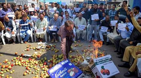 Srinagar: Kashmiri fruit growers burn boxes used for packing fruits during their protest at Parimpora wholesale fruit market in Srinagar, Monday, Sept. 26, 2022. (PTI)