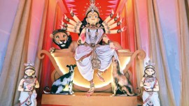 Kolkata durga puja, Durga puja pandal, kolkata pet-friendly pandal, kolkata Durga Puja pandals, West Bengal, Kolkata, West Bengal news, Kolkata news, India news, Indian Express News Service, Express News Service, Express News, Indian Express News