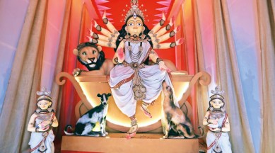 Kolkata durga puja, Durga puja pandal, kolkata pet-friendly pandal, kolkata Durga Puja pandals, West Bengal, Kolkata, West Bengal news, Kolkata news, India news, Indian Express News Service, Express News Service, Express News, Indian Express News
