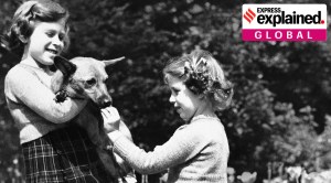 What will happen to Queen Elizabeth’s corgis and other dogs?