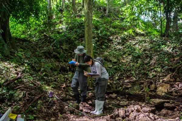 Unearthing A Maya Civilisation That ‘punched Above Its Weight’ 