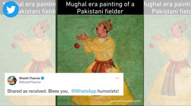 Shashi Tharoor, Pakistan cricket team, Mughal era painting, Shadab Khan, Asia Cup, Sri Lanka, fielding, troll, memes, viral, trending