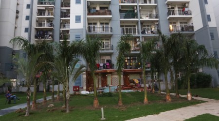 Outside Shrikant Tyagi’s Noida home, contentious palm trees are back