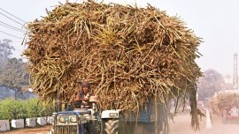 Indian Sugar Mills Association, Sugar Mills Association (ISMA), sugar millers seek lower sales quota, Pune news, Pune city news, Pune, Maharashtra, Maharashtra government, India news, Indian Express News Service, Express News Service, Express News, Indian Express India News