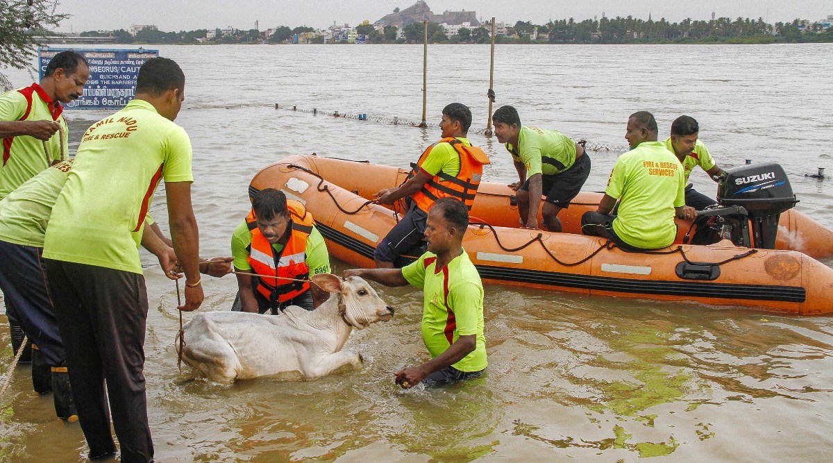 Tamil Nadu Rain News Updates Today: Chennai Rain News, Eight districts ...