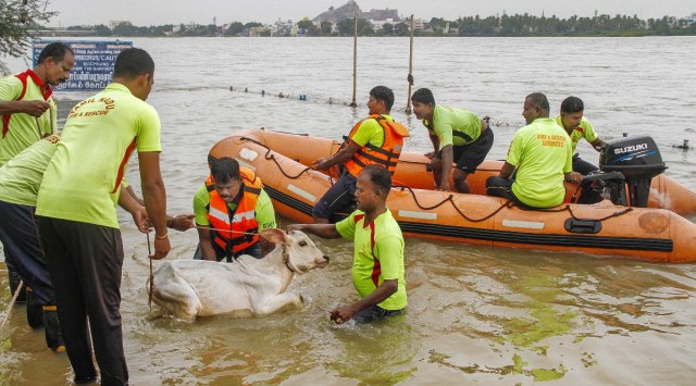 Tamil Nadu Rains, Chennai Rain News