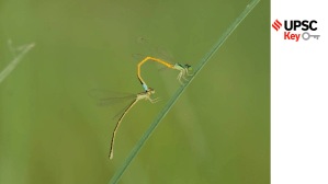 UPSC Key-September 26, 2022: Why you should read ‘Attorney General of India’ or ‘Sangam Age’ or ‘Khalistan Movement’ for UPSC CSE