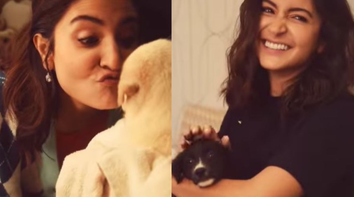 Www Anuskaporn Com - Anushka Sharma is 'feeling pupp-ed up' in her latest video, fans call her  'cutiepie'. Watch | Bollywood News - The Indian Express