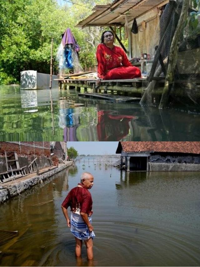 Untitled Design 33 Jpg