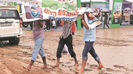 Even as the second day of the fair at both state universities in Ludhiana was washed away by heavy rainfall, heavy footfall was witnessed as the fair was held physically after a gap of two years due to the pandemic.