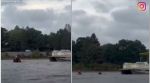 dog pull boat, dog rescue stranded boat, storm, dog pull boat video, indian express