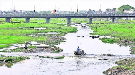 The first phase includes developing a one-kilometre long stretch of the river near Ramnathpara and further development of Ramnathpara Mahadev temple.  (File Photo)