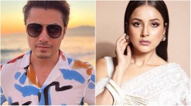 shehnaaz gill, ali zafar