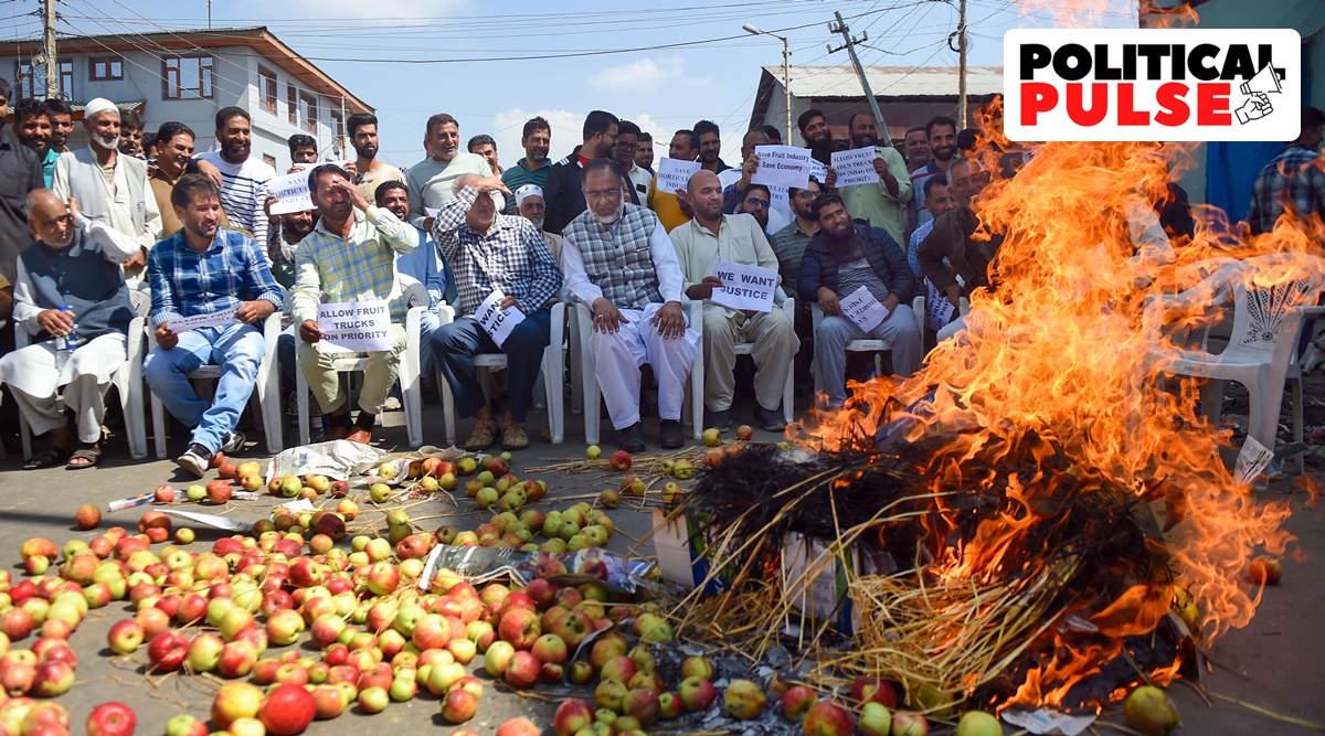 Kashmiri fruit growers burn boxes used for packing fruits during their protest at Parimpora wholesale fruit market in Srinagar. (PTI)
