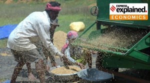 Why several Asian economies brought in agri export curbs in 2022