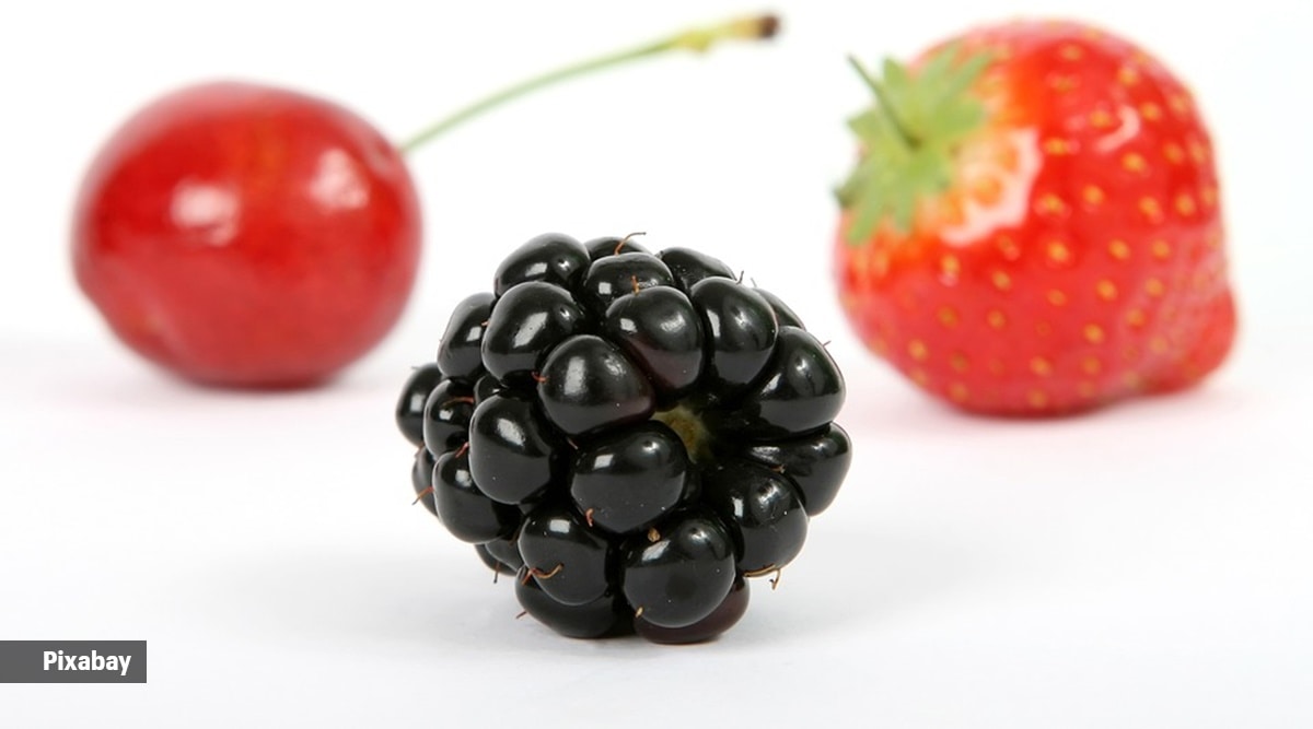 blackberry
