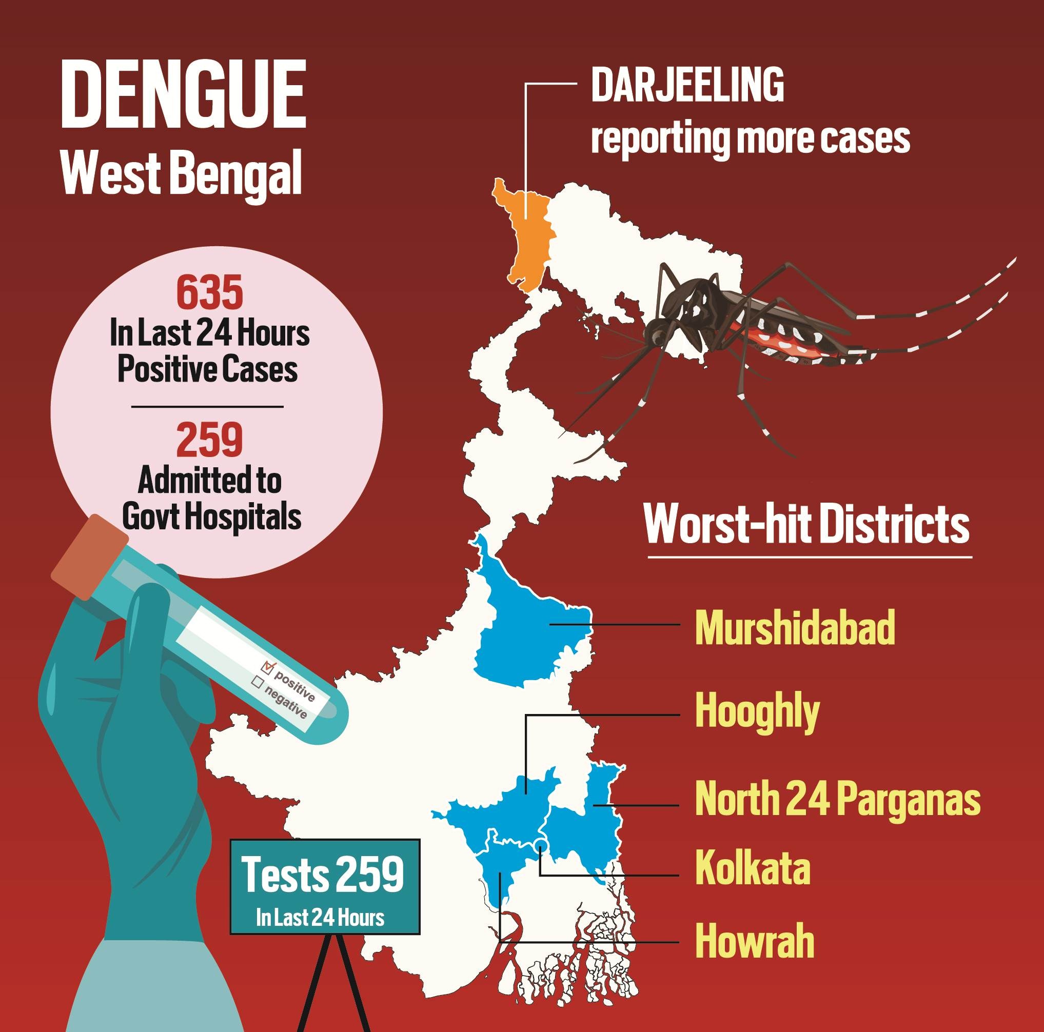 case study dengue fever case presentation