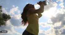 Understanding the link between water consumption and cognitive abilities