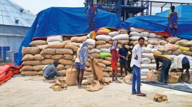 NITI Aayog, ethanol, Govt’s ethanol programme, Burning fuel to carry fuel, Indian Express, India news, current affairs, Indian Express News Service, Express News Service, Express News, Indian Express India News