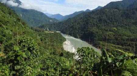 Dibang hydel project: Arunachal says no land for national park, NGT drops...
