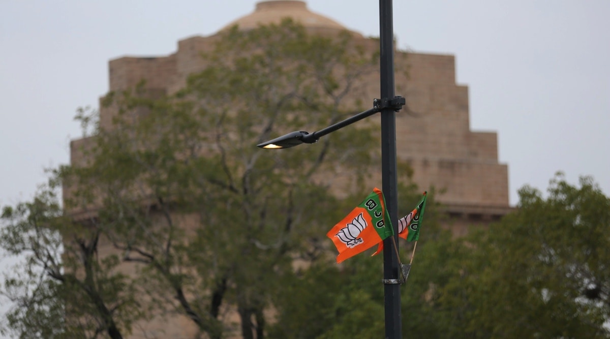 bjp flag, bjp flag light pole, NDMC, BJP, india gate light poles, Delhi news, Delhi city news, New Delhi, India news, Indian Express News Service, Express News Service, Express News, Indian Express India News