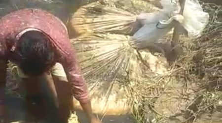 Approximately 1,45,000 litres of unclaimed lahan was recovered and destroyed on the spot outside the river banks, said the official spokesperson (Twitter/@HarpalCheemaMLA)