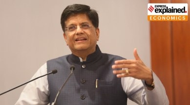 ipef piyush goyal