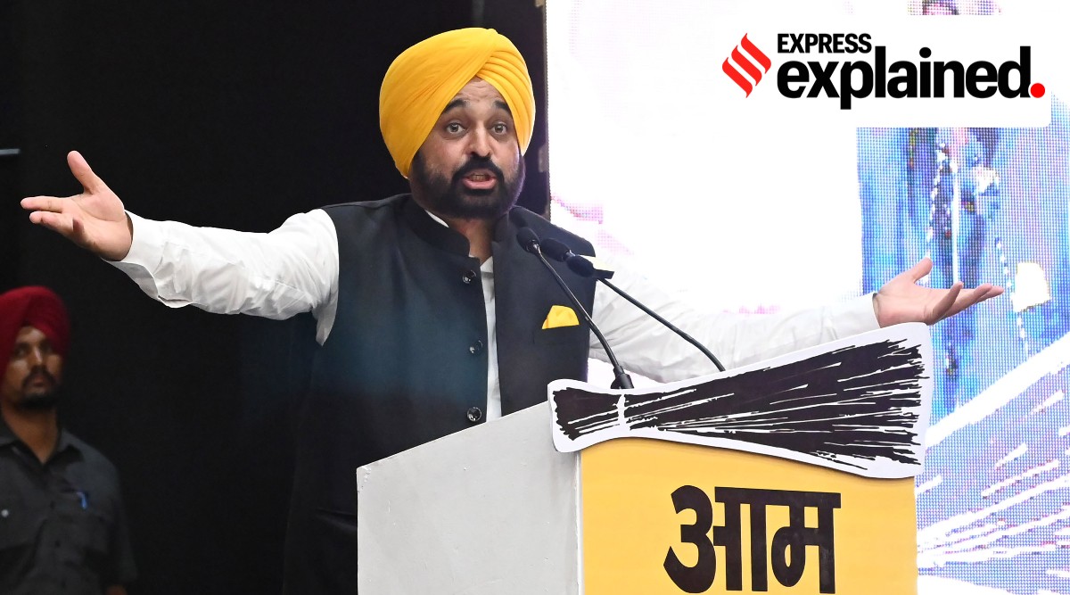 Punjab Chief Minister Bhagwant Mann. (PTI)