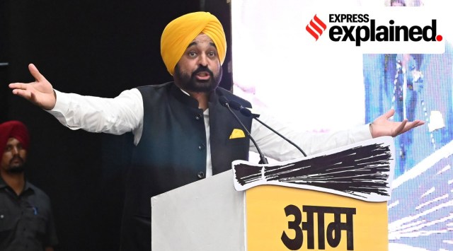 Punjab Chief Minister Bhagwant Mann. (PTI)