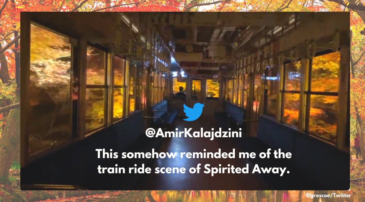 Japan railways, maple tunnel japan rail autumn fall, maple tree tunnel stunning view, stunning view of maple trees japan rail Kyoto, Eizan Electric Railway japan maple tree view, Indian express