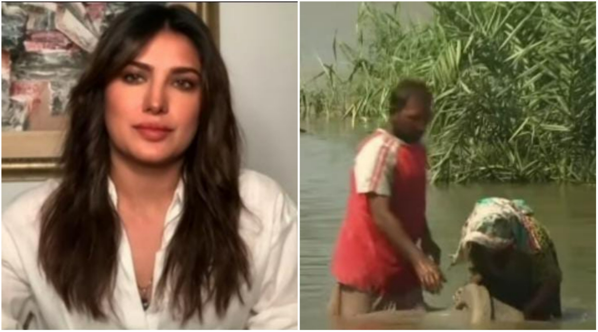 Mehwish Hayat X Videos - Mehwish Hayat calls out Bollywood's 'deafening silence' on Pakistan flood:  'Suffering knows no nationality' | Bollywood News, The Indian Express