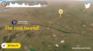 Migratory birds, Migratory birds real tourists, Pallid Harrier Indian Spotted Eagle, migratory birds tracking, Viral video migratory birds, extinction migratory birds, Indian express