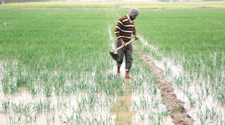 Since 2010, this is the second biggest deficit in rainfall that Punjab and Haryana have recorded. For Chandigarh, this is the sixth worst August in the last 13 years.
